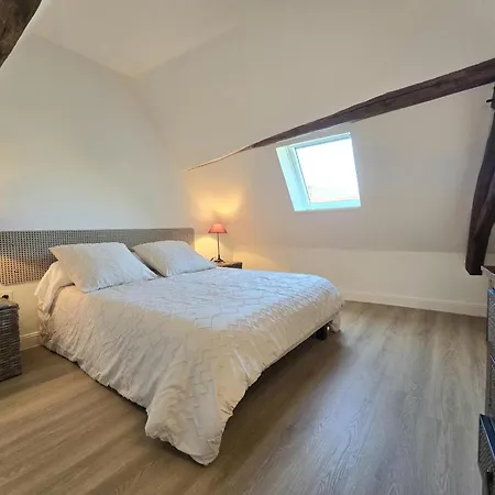 Maison En Pierre, Animaux Ok - 6 Pers. - Fr-1-616-565 Flangeat
